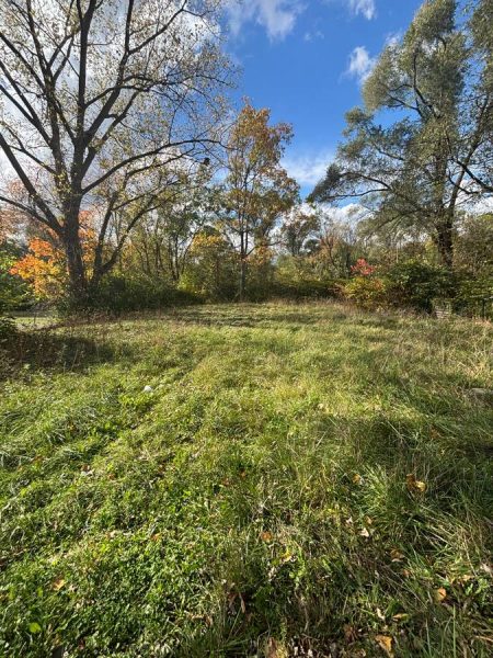 Vacant Lot in Kalamazoo