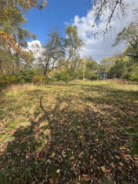 Vacant Lot in Kalamazoo