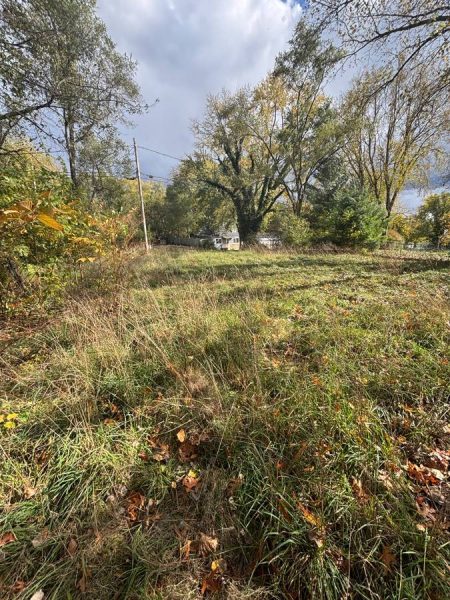 Vacant Lot in Kalamazoo