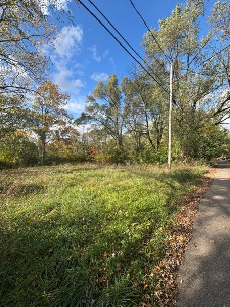 Vacant Lot in Kalamazoo