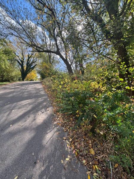 Vacant Lot in Kalamazoo