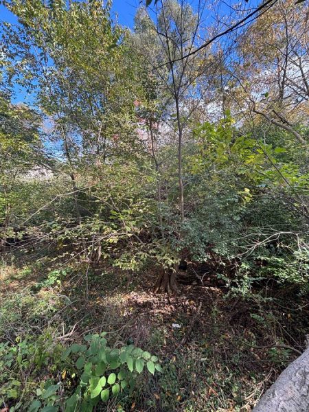 Vacant Lot in Kalamazoo