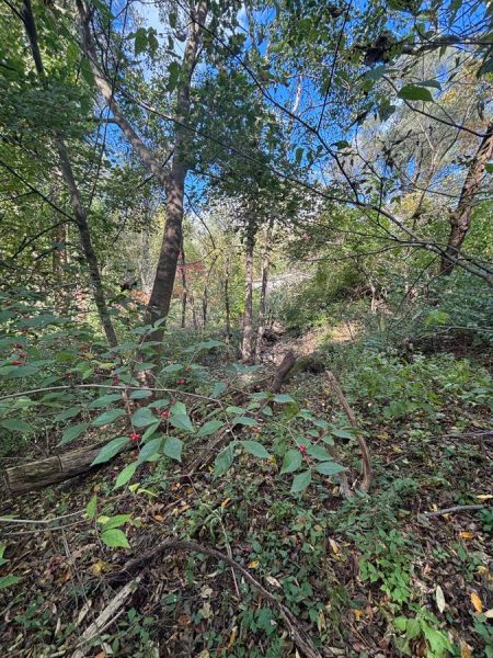 Vacant Lot in Kalamazoo